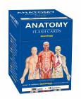 Anatomy Flashcards