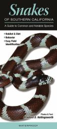 Snakes Of Southern California:A Guide To Common And Notable Species