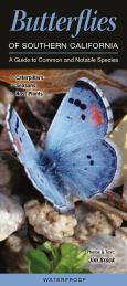 Butterflies Of Southern California:A Guide To Common And Notable Species