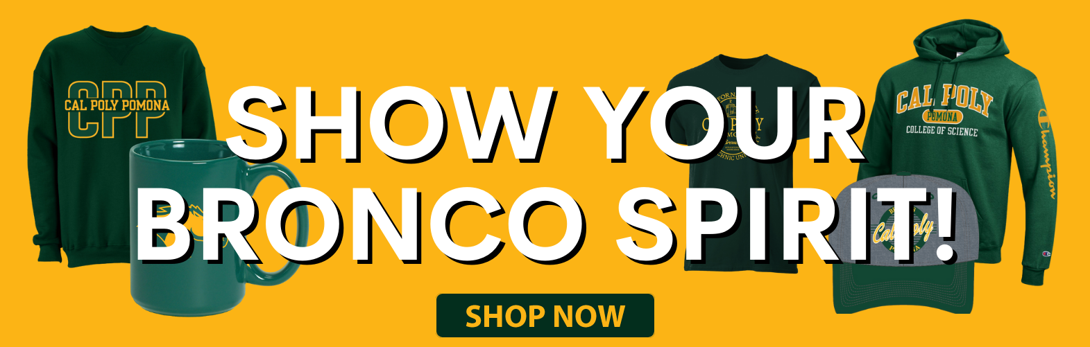 Bronco Gear - Shop Now