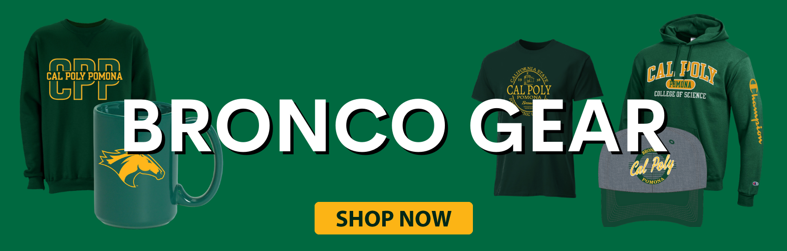 Bronco Gear - Shop Now