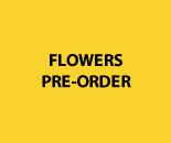 Flowers Pre-order