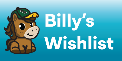 Billy's Wishlist