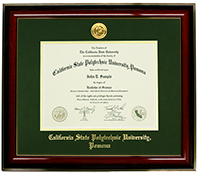 Diploma Frame Medallion