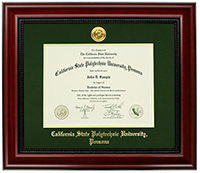 Diploma Frame Medallion Suede