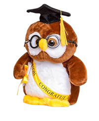 Grad Owl