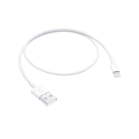 Apple Lightning To USB Cable (.5M)