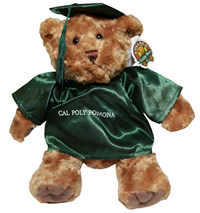 Plush Grad Teddy (No Music) Bear W/ Green Gown And Cap Gold Ink
