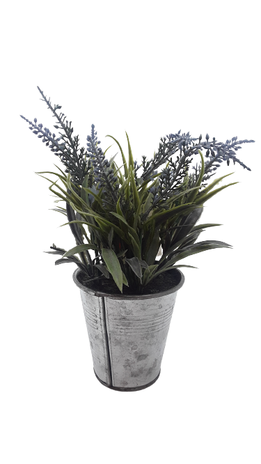 *Close Out: Potted Lavender Plant (SKU 123101661435)