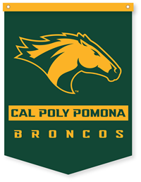 Banner Cal Poly Pomona Broncos W/Gold Header 18 X 24