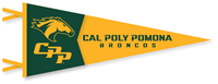 Pennant W/Horse Head And CPP Marks < Cal Poly Pomona 12 X 30