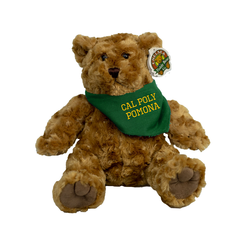 Plush Teddy Bear W/ Forest Green Bandana (SKU 123555871386)