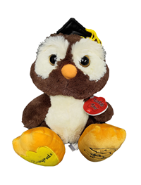 Grad Plush Winks Owl 10"