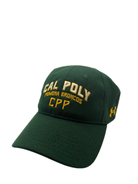  UA Cap Men's Armour Stretch-Fit Forest Green Twist L/Xl