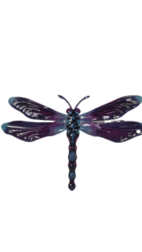 *Close Out: Wall Plaque Dragonfly