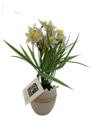 Decorative Plant W/ Vase