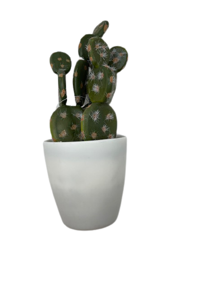 Cactus In A Pot (SKU 124329051385)