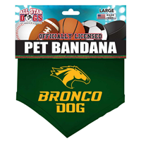 Dog Bandana Large