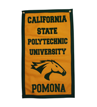 Banner 14" X 24" Cal Poly Broncos Flocked Grn/Gold