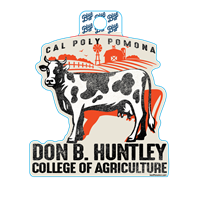 Decal Foy Cow Huntley College Of Agriculture (2019)