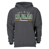 Grad Pack Alumni Hood Graphite