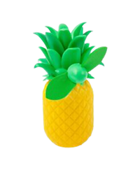 *Close Out: Travel Fan Pineapple