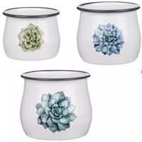 Enamel Succulent Mini Planter 3Pc Set