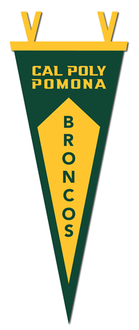 Pennant 12" X 30" Cal Poly Pomona Over Broncos Inverted