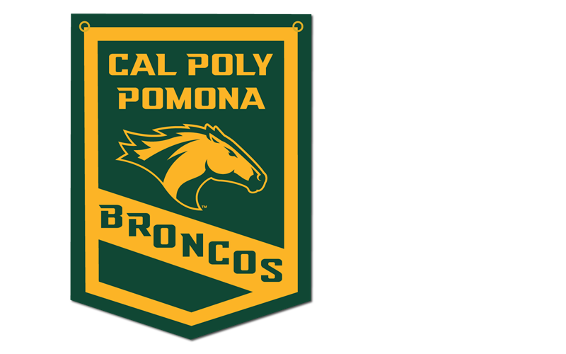 **New Item: Banner Cal Poly Ovr Horse Head Broncos In Gold Outlined 18X24