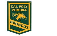 Banner Cal Poly Ovr Horse Head Broncos In Gold Outlined 18X24