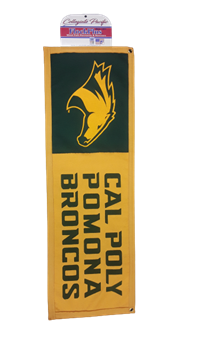 Banner Horsehead On Green Cal Poly Pomona Stacked 12X36