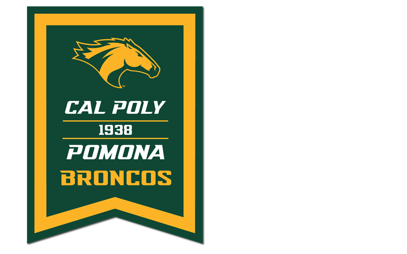 **New Item: Banner Horse Over Stacked Cal Poly Est Pomona Broncos Dovetaili 18X24 (SKU 125257201009)