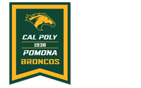 Banner Horse Over Stacked Cal Poly Est Pomona Broncos Dovetaili 18X24