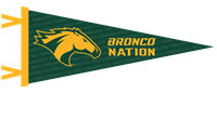 Pennant 12" X 30" Horse Head Bronco Nation