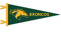 Pennant Horse Head Broncos