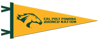 Pennant 12" X 30" Horse Head Cal Poly Pomona Bronco Nation