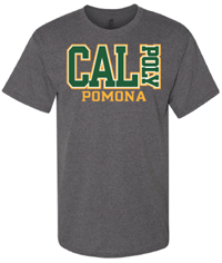 *Close Out: Tee Big Cal Vert Poly Over Pomona Charcoal