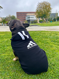 Dog Hoodie Gameday Black