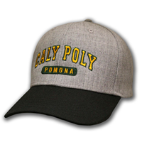  Cap Adjustable Diamond Performance Arched CPP Over Pomona Dark Grey