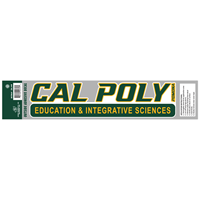 Decal College Of Ceis Green/Gold
