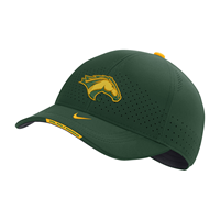  Nike Cap Sideline Swoosh Flesh Gorge Green