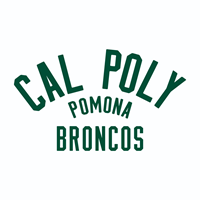 HOOD POWERBLEND CAL POLY ARCHED OVER POMONA ARCHED OVER BRONCOS WHITE