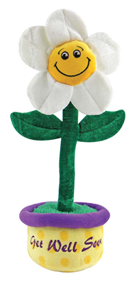 Plush Get Well Soon Singing White Daisy