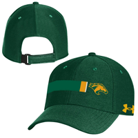  UA Cap Men's Blitzing 3.0 Adjustable Bar Graphic Logo Green