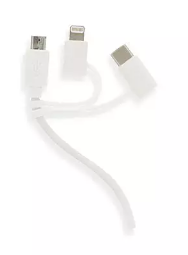ALL-IN-ONE CHARGER 2.4 A - USB/LIGHTNING/C-TIP