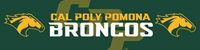 Banner 2' X 8' Dye Sublimated Mascot Cal Poly Pomona Over Broncos Mascot