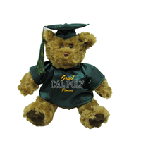 Plush Musical Grad Teddy Bear W/ Green Gown And Cap Gold Ink