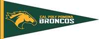 Penannt Bronco Head W/Cal Poly Pomona 12"X30"