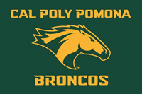 Flag Boat Bronco Head W/Cal Poly Pomona 12"X18"