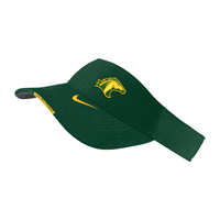 Sideline 21 Dri Fit Visor Gorge Green